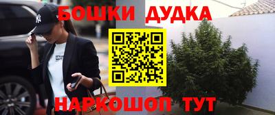 скорость Жуковский