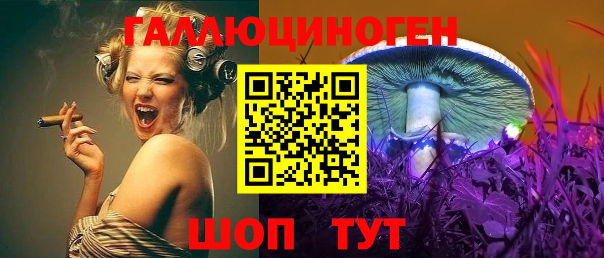 Псилоцибиновые грибы Cubensis Майский